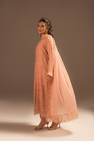 3 Piece Chiffon Embroidered Suit (FL0040)