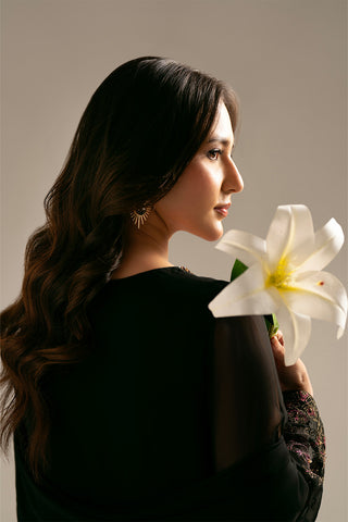 3 Piece Chiffon Embroidered (FL0061)