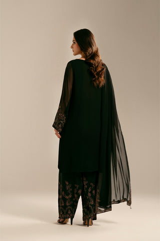 3 Piece Chiffon Embroidered (FL0061)