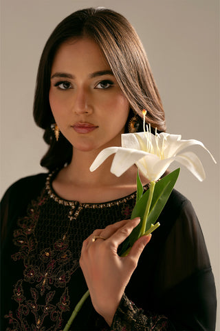 3 Piece Chiffon Embroidered (FL0061)