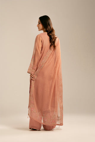 3 Piece Emboss Net Embroidered (FL0063)