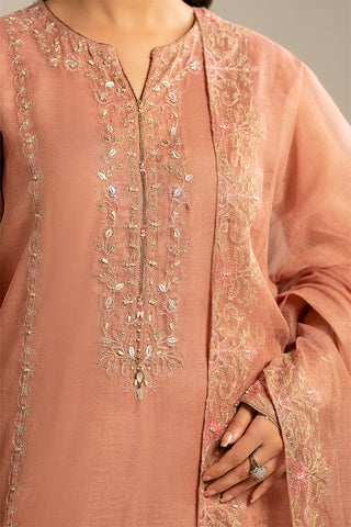 3 Piece Emboss Net Embroidered (FL0063)