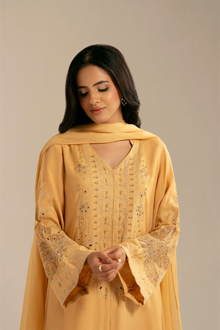 3 Piece Raw Silk Embroidered (FL0064)
