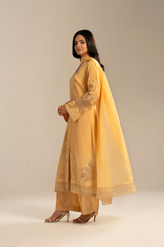 3 Piece Raw Silk Embroidered (FL0064)