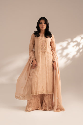 3 Piece Chiffon Embroidered Suit (FL0067)