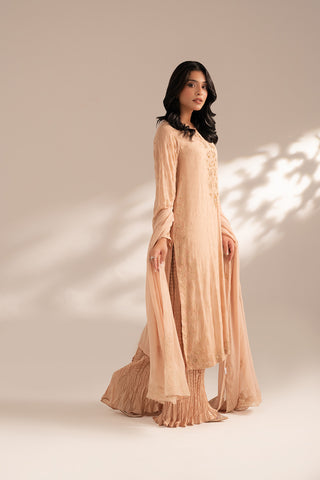 3 Piece Chiffon Embroidered Suit (FL0067)
