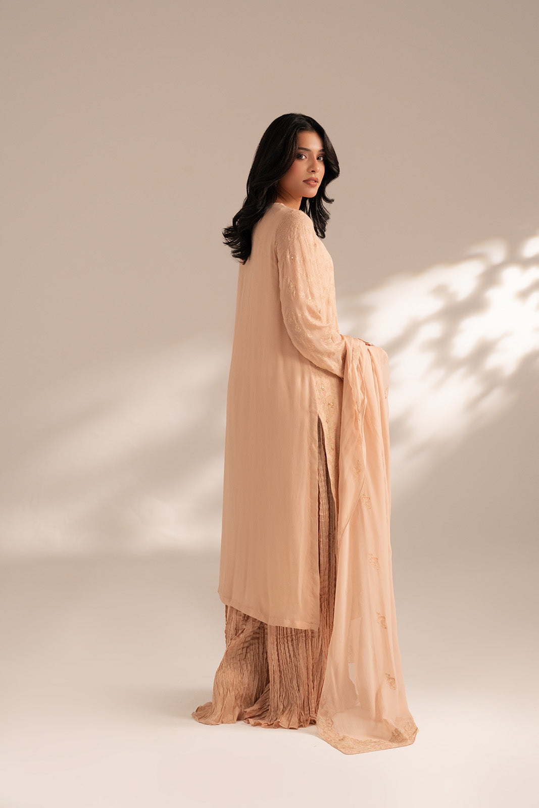3 Piece Chiffon Embroidered Suit (FL0067)