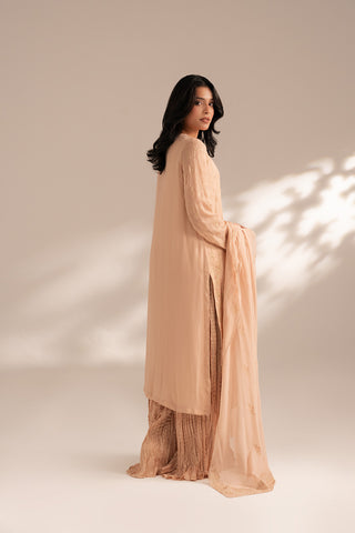 3 Piece Chiffon Embroidered Suit (FL0067)