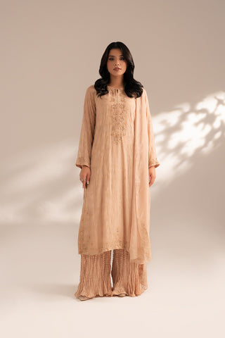 3 Piece Chiffon Embroidered Suit (FL0067)