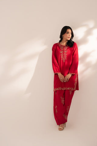 2 Piece Raw Silk Embroidered Suit (FL0068)