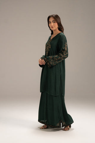 2 Piece Raw Silk Embroidered (FL0071)