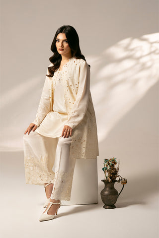 2 Piece Raw Silk Embroidered Suit (FL0074)