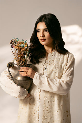 2 Piece Raw Silk Embroidered Suit (FL0074)