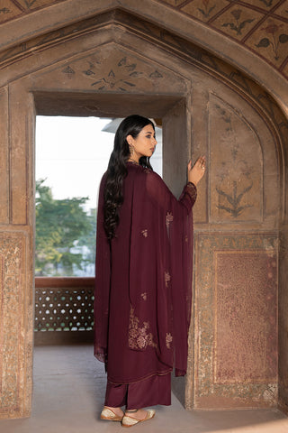 3 Piece Chiffon Embroidered Suit (FL0083)