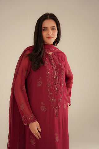 3 Piece Chiffon Embroidered Suit (FL0085)