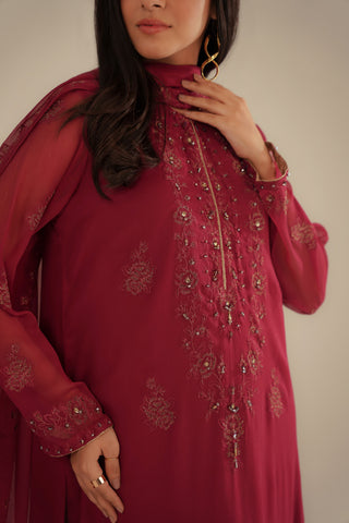3 Piece Chiffon Embroidered Suit (FL0085)