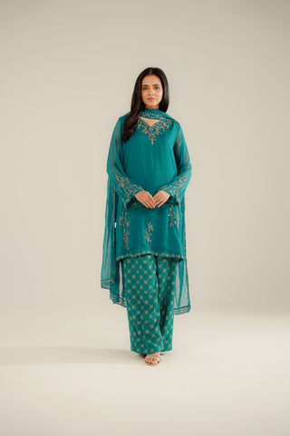 3 Piece Chiffon Embroidered Suit (FL0086)