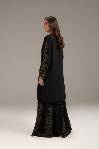 2 Piece Raw Silk Embroidered (FL0088)