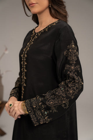 2 Piece Raw Silk Embroidered (FL0088)
