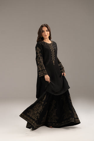 2 Piece Raw Silk Embroidered (FL0088)