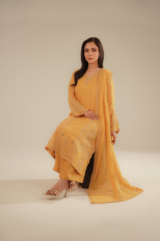 3 Piece Chiffon Embroidered Suit (FL0091)