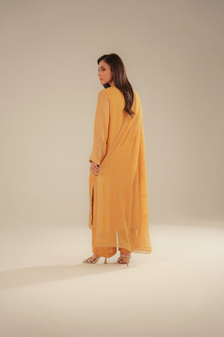 3 Piece Chiffon Embroidered Suit (FL0091)