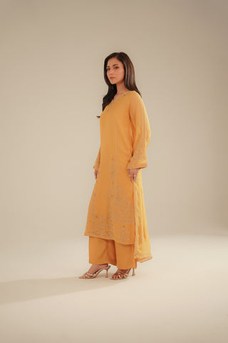 3 Piece Chiffon Embroidered Suit (FL0091)