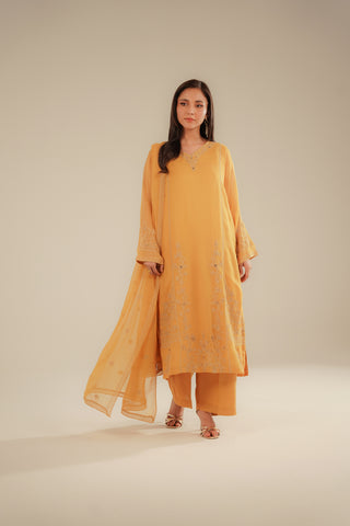 3 Piece Chiffon Embroidered Suit (FL0091)