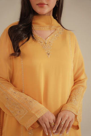 3 Piece Chiffon Embroidered Suit (FL0091)