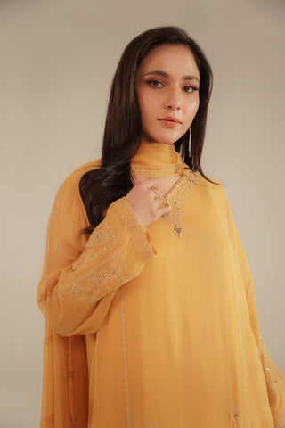 3 Piece Chiffon Embroidered Suit (FL0091)