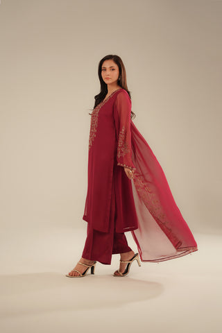 3 Piece Chiffon Embroidered Suit (FL0094)