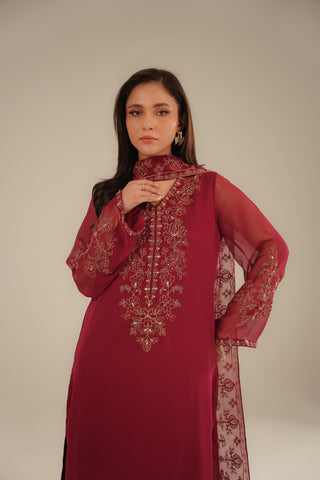 3 Piece Chiffon Embroidered Suit (FL0094)