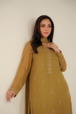3 Piece Chiffon Embroidered Suit (FL0095)