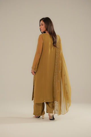 3 Piece Chiffon Embroidered Suit (FL0095)