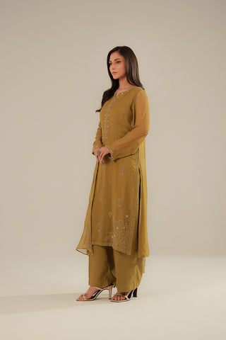 3 Piece Chiffon Embroidered Suit (FL0095)