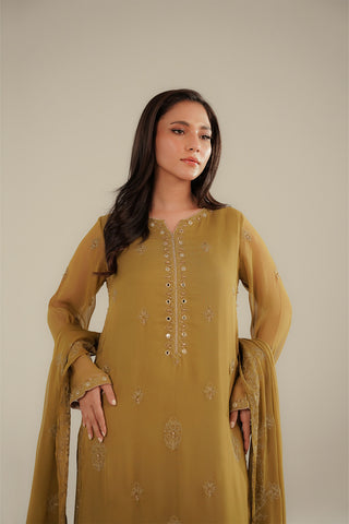 3 Piece Chiffon Embroidered Suit (FL0095)