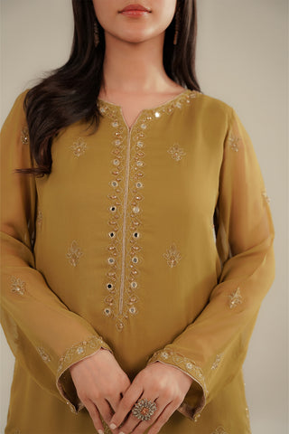 3 Piece Chiffon Embroidered Suit (FL0095)