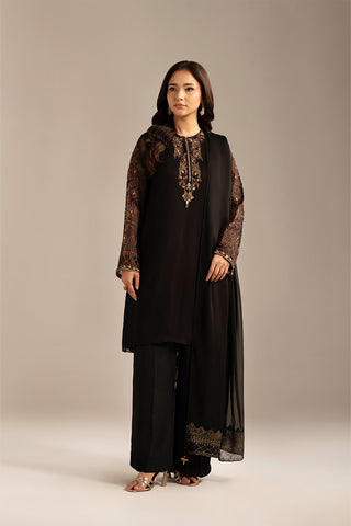 2 Piece Chiffon Embroidered Suit (FL0097)