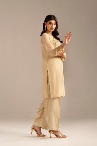 1 Piece Chiffon Embroidered (FL0099)