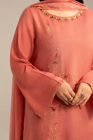 3 Piece Raw Silk Embroidered (FL0103)