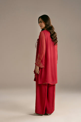 2 Piece Chiffon Embroidered Suit (FL0109)