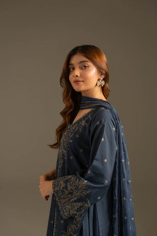 2 Piece Cotton Silk Embroidered Suit (FL0111)