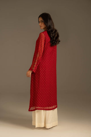 1 Piece Chiffon Embroidered Suit (FL0116)