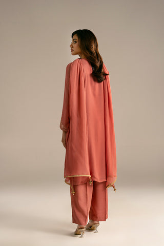 3 Piece Chiffon Embroidered Suit (FL0117)