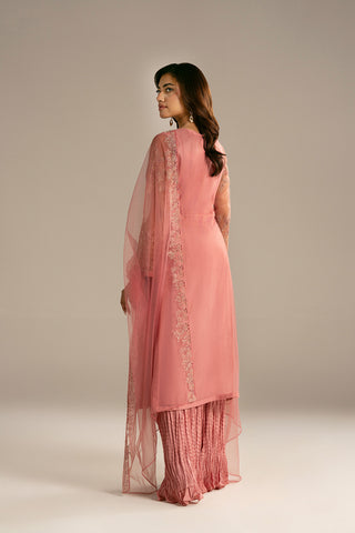 3 Piece Net Embroidered Suit (FL0118)