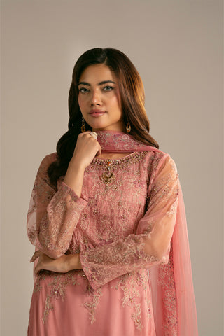 3 Piece Net Embroidered Suit (FL0118)