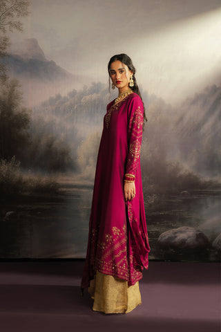 2 Piece Cotton Silk Embroidered Suit (FL0122)