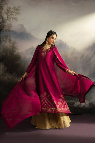 2 Piece Cotton Silk Embroidered Suit (FL0122)