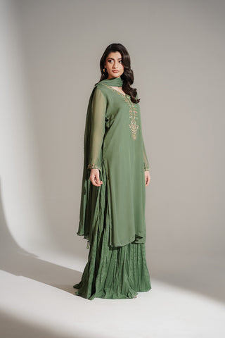 3 Piece Chiffon Embroidered Suit (FL0131)