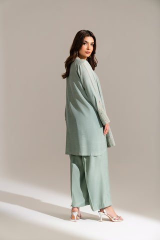 2 Piece Raw Silk Embroidered Suit (FL0132)